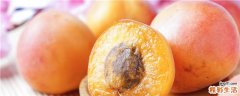 杏子怎么吃最好 杏子的吃法有哪些
