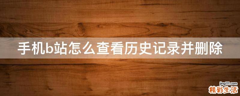 手机b站怎么查看历史记录并删除