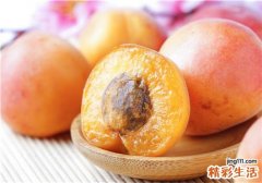 杏属于寒性食物吗 杏不能和什么一起吃