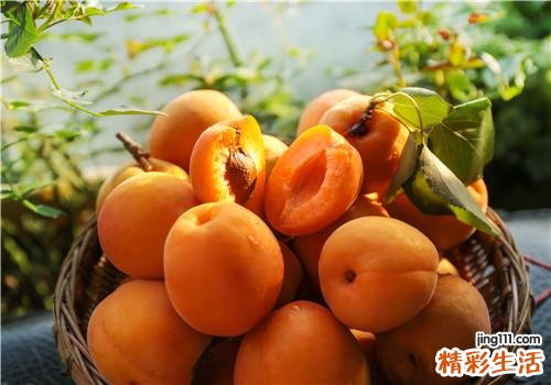 杏子一次吃多少合适 杏子吃多了会怎么样