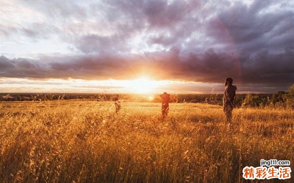 垂痈引发什么疾病