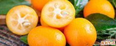 金桔带皮吃对身体有害吗 金桔表皮有蜡吗