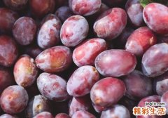 西梅一天吃几颗 西梅吃多了会怎么样