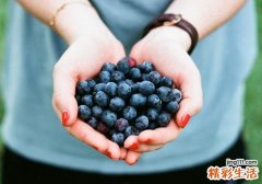 宝宝便秘可以吃西梅吗 宝宝便秘饮食注意什么