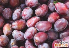 孕妇能吃新鲜西梅吗 西梅一次吃多少合适