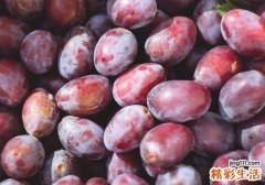 西梅和李子有什么区别 别再把它们弄混了