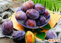 西梅是李子吗 哪些人不适宜吃西梅