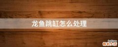 龙鱼跳缸怎么处理