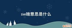 sw啥意思是什么