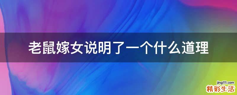老鼠嫁女说明了一个什么道理