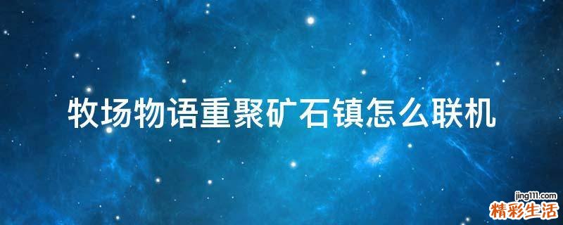 牧场物语重聚矿石镇怎么联机