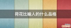 荷花比喻人的什么品格