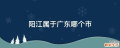 阳江属于广东哪个市