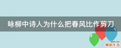 咏柳中诗人为什么把春风比作剪刀