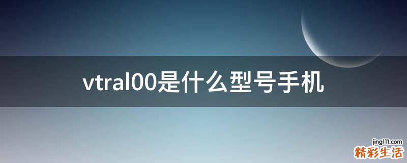 vtral00是什么型号手机