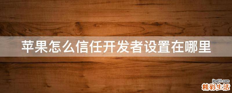 苹果怎么信任开发者设置在哪里