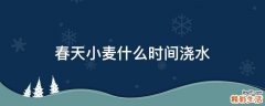 春天小麦什么时间浇水