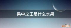 果中之王是什么水果