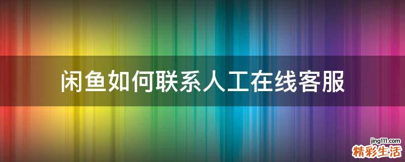 闲鱼如何联系人工在线客服