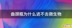 曲颈瓶为什么进不去微生物