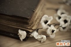4款汤食疗治不孕不育