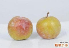 李子的营养价值