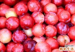 李子和牛奶能一起吃吗 吃了李子多久能喝牛奶