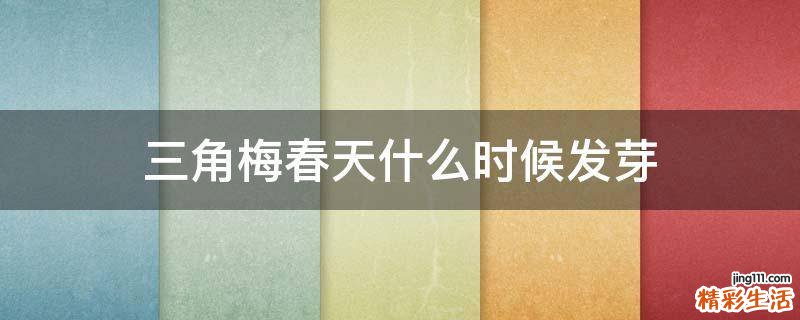 三角梅春天什么时候发芽