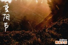 2023年重阳节是多少号