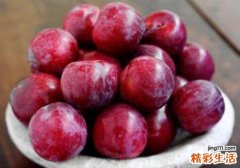 李子不能和什么一起吃