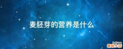 麦胚芽的营养是什么