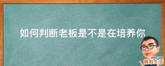 如何判断老板是不是在培养你