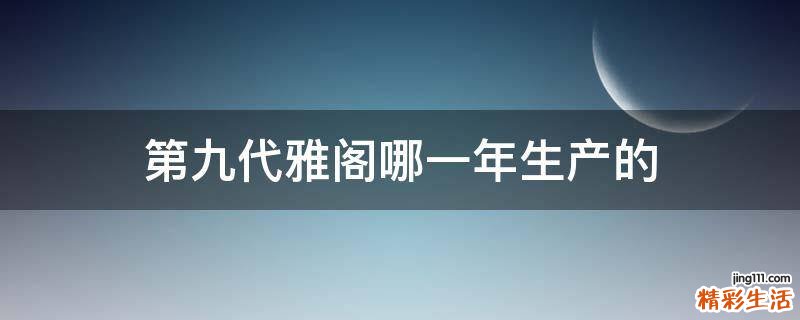 第九代雅阁哪一年生产的