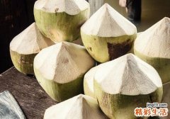 吃完椰子能吃海鲜吗 椰子不能和和什么一起吃