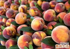 水蜜桃可以放冰箱吗 原来水蜜桃这样保存更好吃