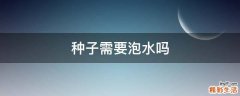种子需要泡水吗