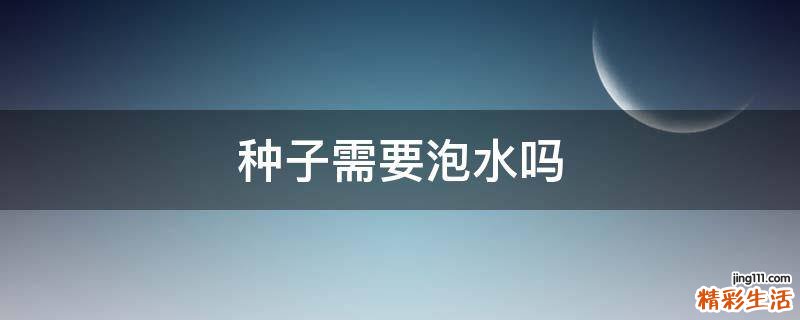 种子需要泡水吗