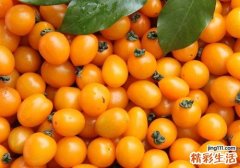 圣女果一天可以吃多少 吃多了有什么坏处