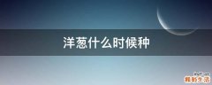 洋葱什么时候种
