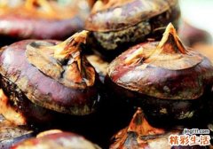 孕妇可以吃马蹄吗 孕妇2个月可以吃马蹄吗