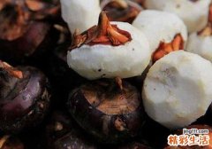 马蹄煮多长时间能吃 马蹄煮水要去皮吗