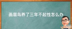 画眉鸟养了三年不起性怎么办