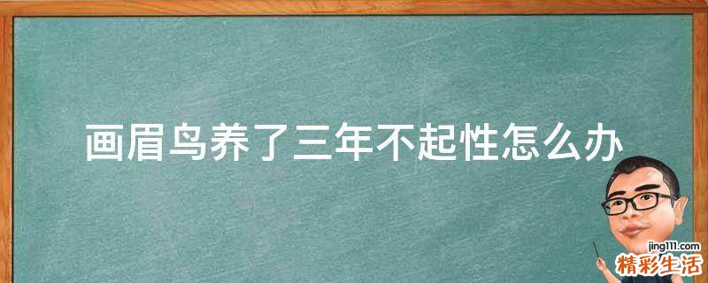 画眉鸟养了三年不起性怎么办
