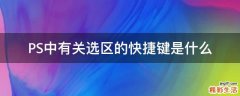 PS中有关选区的快捷键是什么