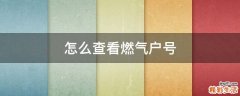 怎么查看燃气户号