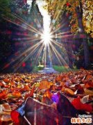 甲泼尼龙治疗颈椎过伸性损伤