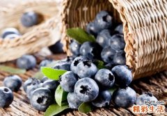 蓝莓的功效与作用 吃蓝莓居然有这么多好处