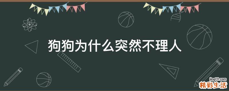 狗狗为什么突然不理人