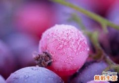 蓝莓怎么洗才干净