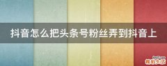 抖音怎么把头条号粉丝弄到抖音上